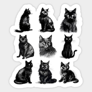 Vintage Halloween Shirt Black Cat Collage Sticker